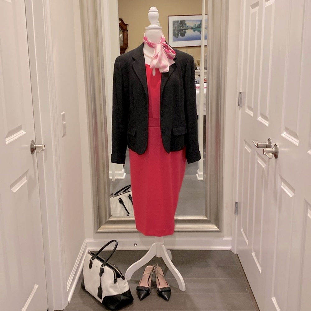 NWT ALBERT NIPON Pink Sleeveless Dress. Size 16W fully lined back zipper